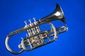 SheppardsÃ¢â¬â¢s Crook Cornet On Blue